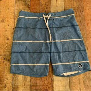 Ezekiel mens blue striped swim board shorts - 34